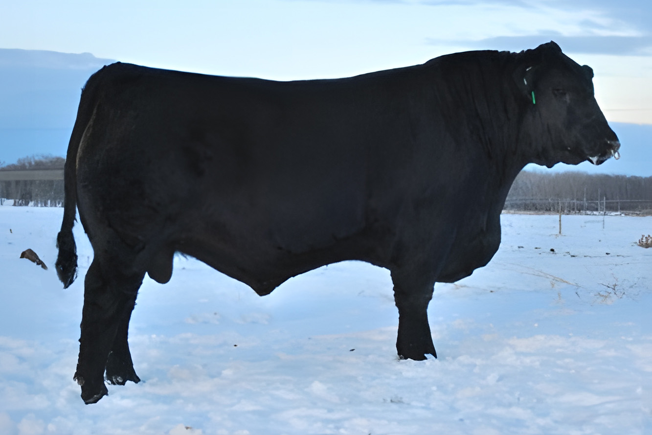 sire2