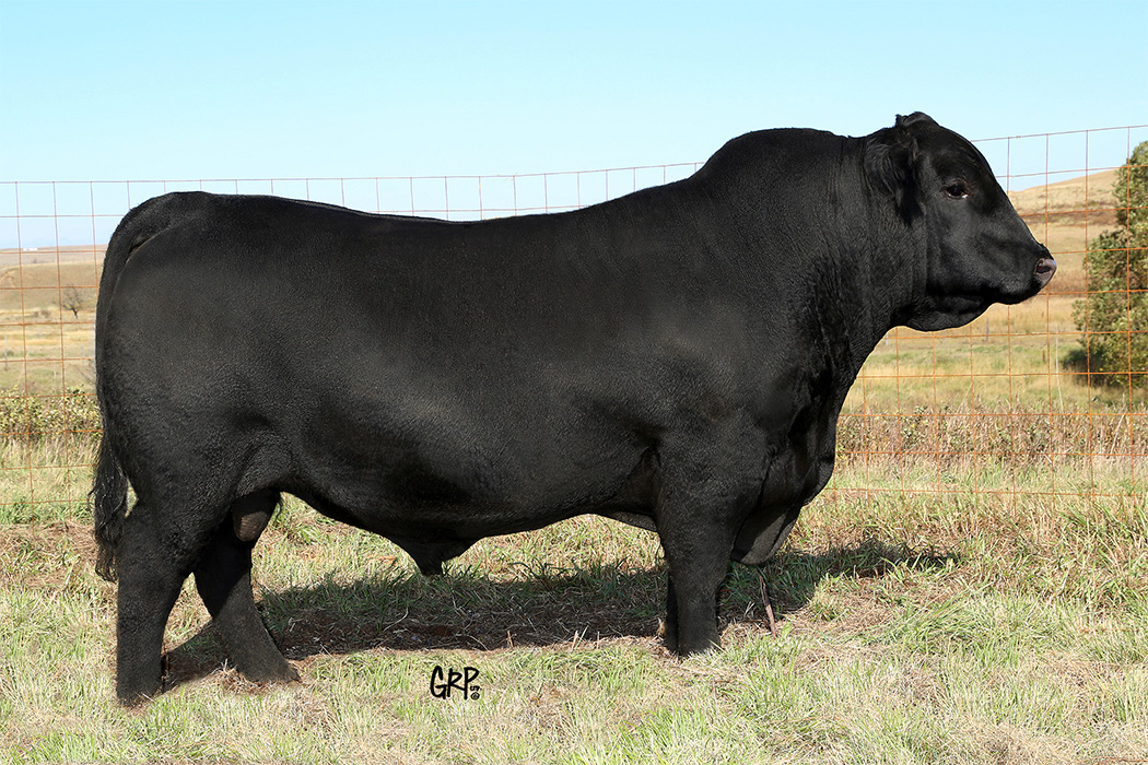 sire1