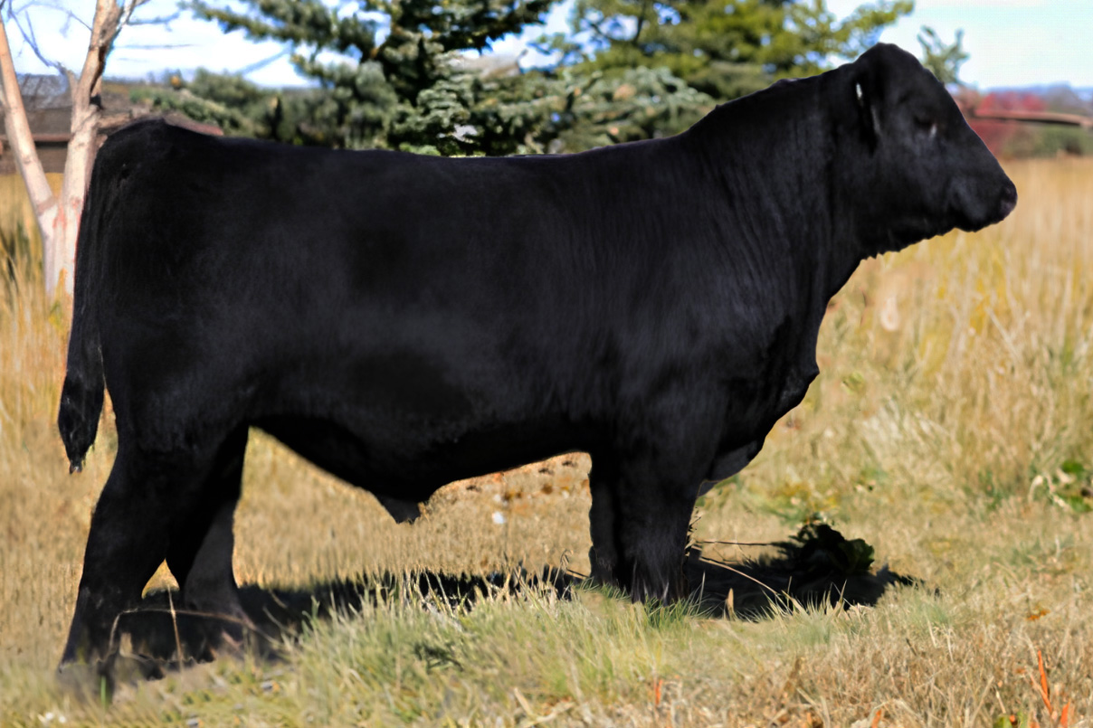sire4